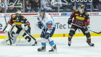 hokej sparta
